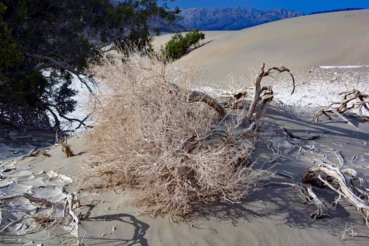 sand dunes